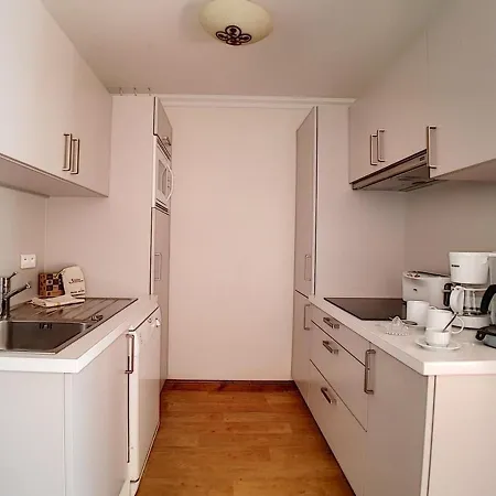 Spacieux Et Renove, Proche Des Pistes Avec Sauna, Hammam, Wifi Et Balcon - Fr-1-344-849
